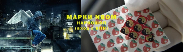 ALPHA-PVP Новозыбков