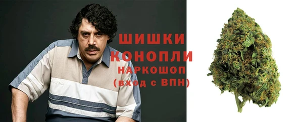 гидра Беслан