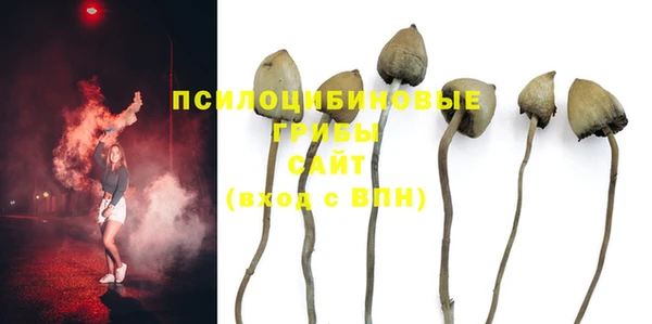 не бодяженный Нязепетровск