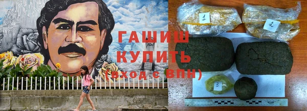 ALPHA-PVP Новозыбков