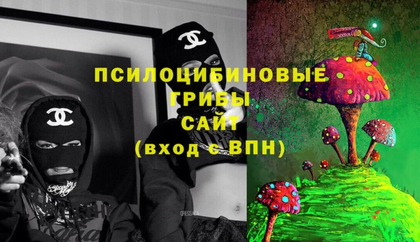 ALPHA-PVP Новозыбков