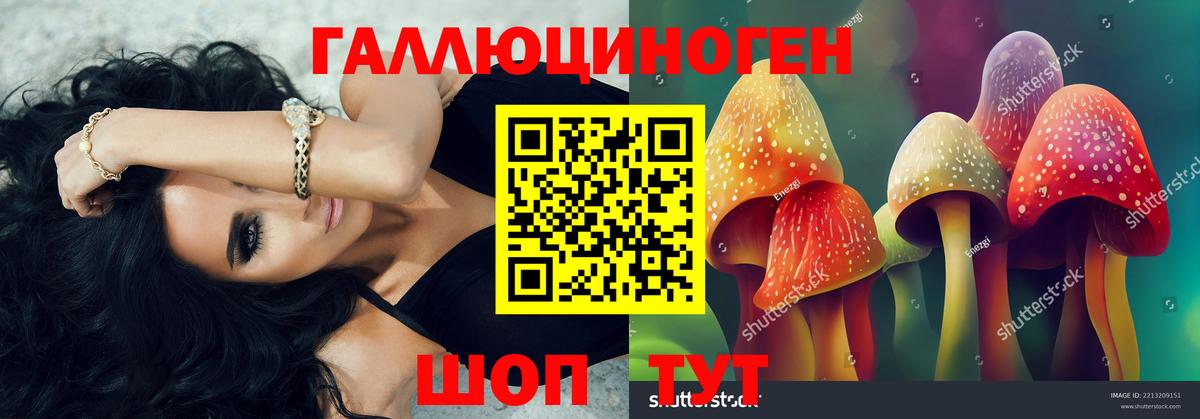 Галлюциногенные грибы GOLDEN TEACHER  Зерноград  Галлюциногенные грибы Cubensis 