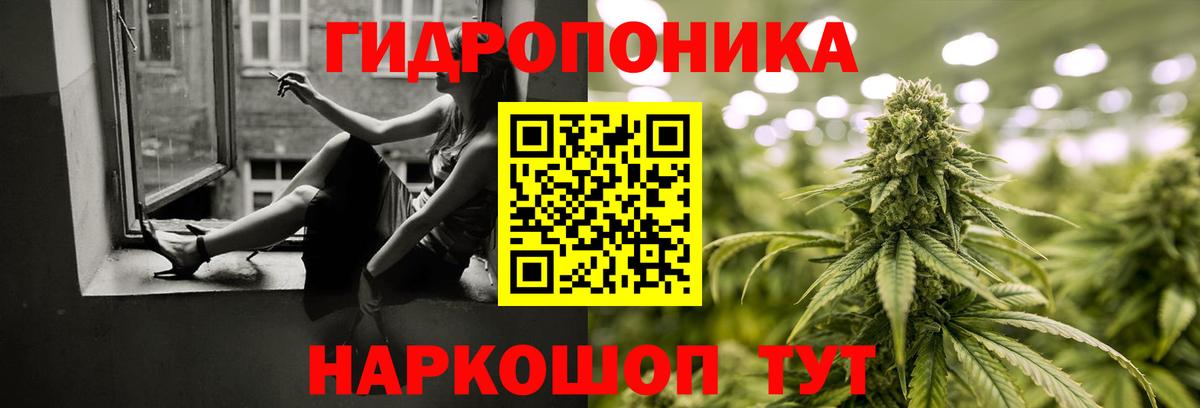 Шишки марихуана марихуана Зерноград